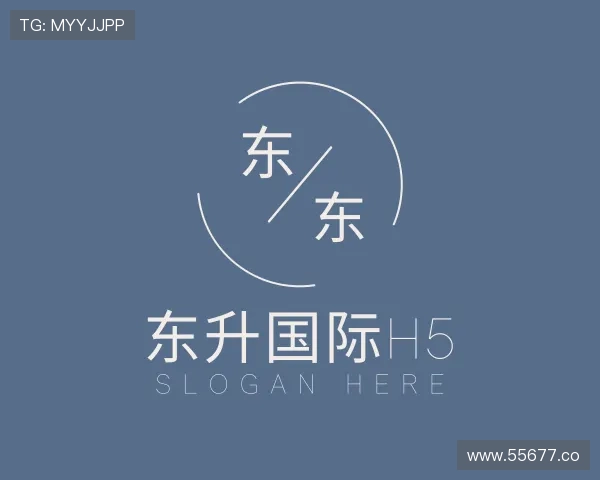 探究东升国际h5